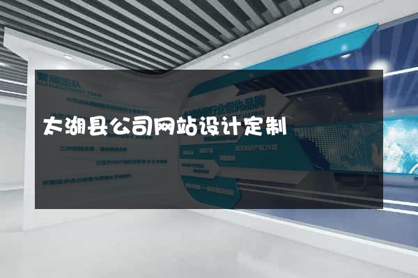 太湖县公司网站设计定制