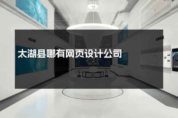太湖县哪有网页设计公司