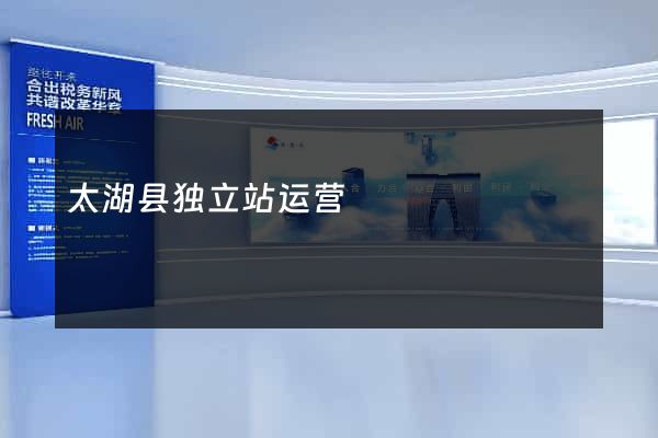 太湖县独立站运营