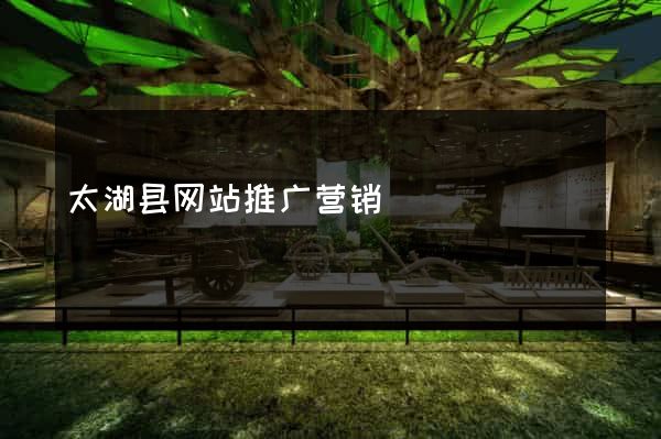 太湖县网站推广营销