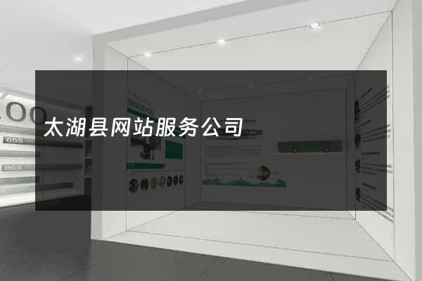 太湖县网站服务公司