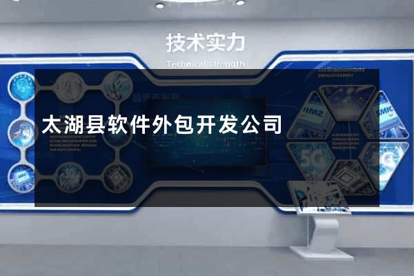 太湖县软件外包开发公司