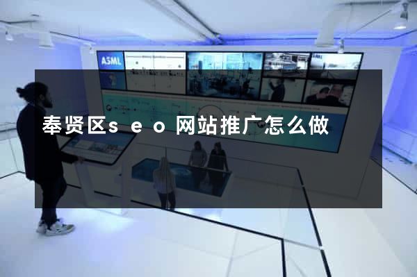 奉贤区seo网站推广怎么做