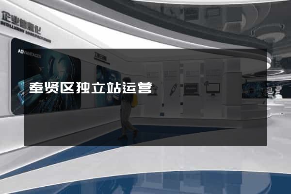 奉贤区独立站运营