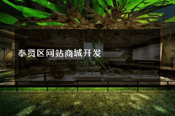 奉贤区网站商城开发