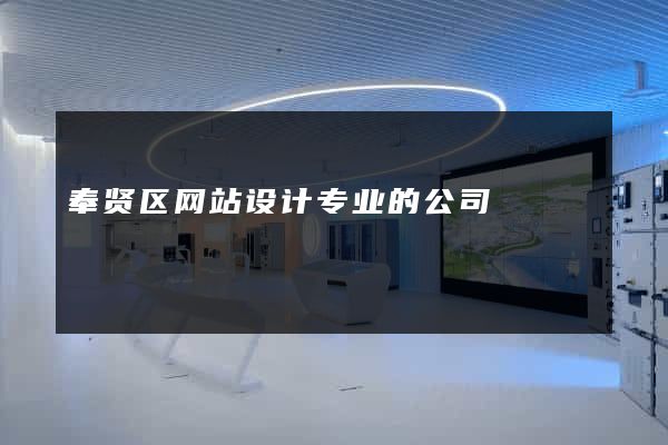 奉贤区网站设计专业的公司