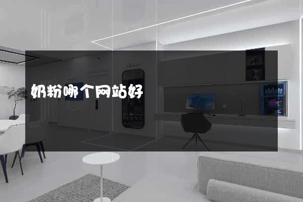 奶粉哪个网站好