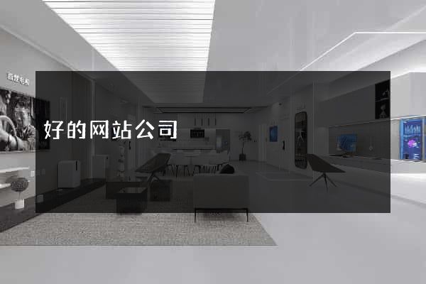 好的网站公司