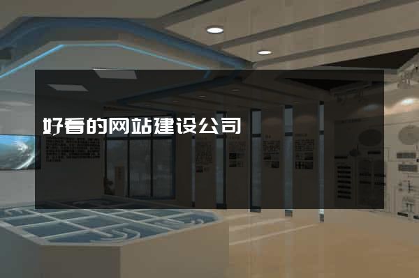 好看的网站建设公司