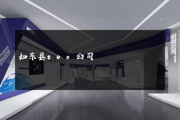 如东县seo公司