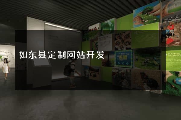 如东县定制网站开发