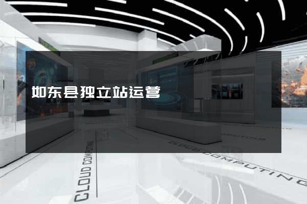 如东县独立站运营