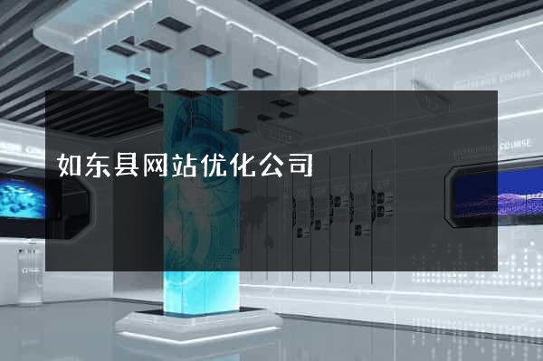 如东县网站优化公司