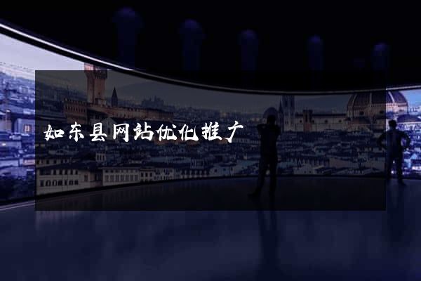 如东县网站优化推广