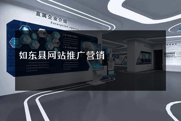 如东县网站推广营销