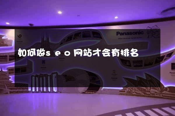 如何做seo网站才会有排名