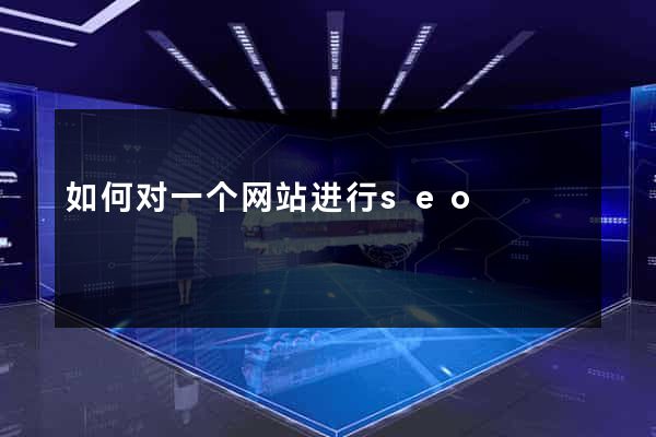 如何对一个网站进行seo