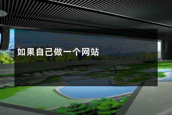 如果自己做一个网站