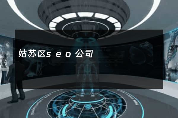 姑苏区seo公司