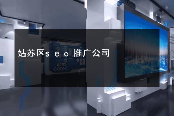 姑苏区seo推广公司