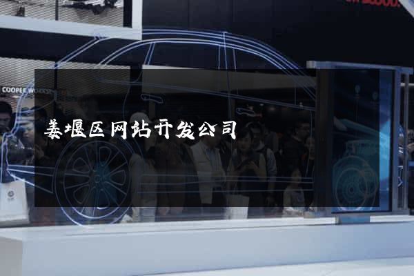 姜堰区网站开发公司