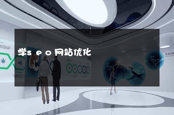 学seo网站优化