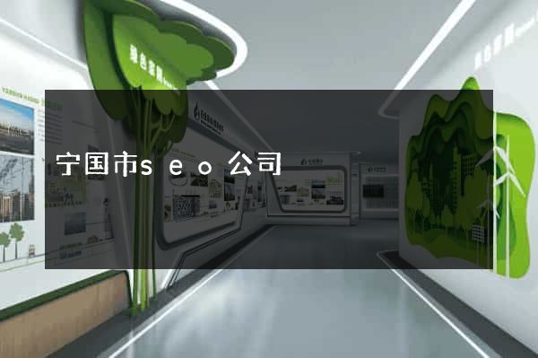 宁国市seo公司