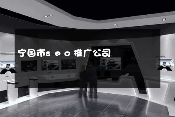 宁国市seo推广公司