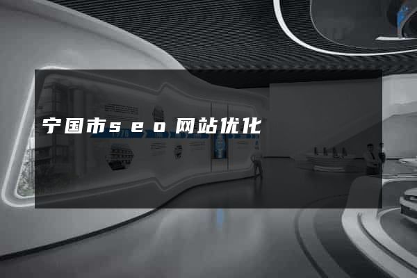 宁国市seo网站优化