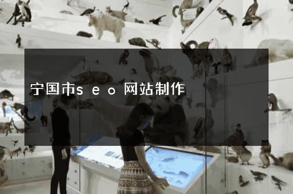 宁国市seo网站制作