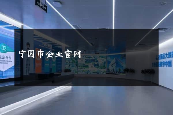 宁国市企业官网