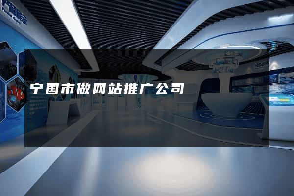宁国市做网站推广公司