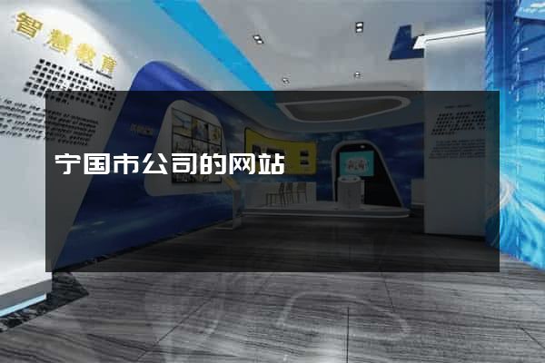 宁国市公司的网站