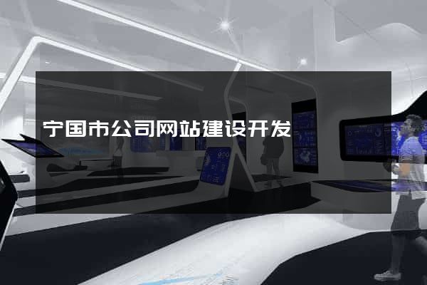 宁国市公司网站建设开发