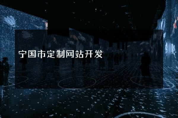 宁国市定制网站开发