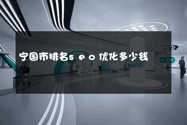 宁国市排名seo优化多少钱