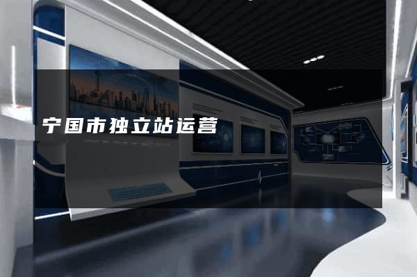 宁国市独立站运营