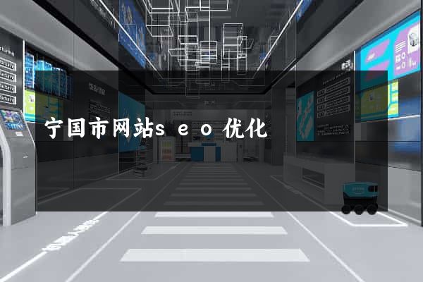 宁国市网站seo优化