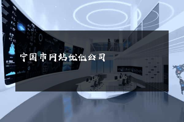 宁国市网站优化公司