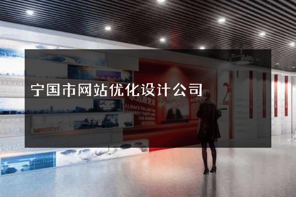 宁国市网站优化设计公司