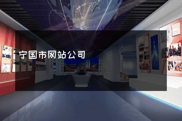 宁国市网站公司