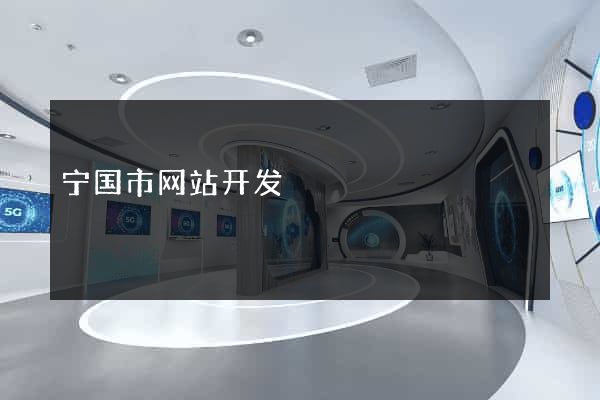 宁国市网站开发