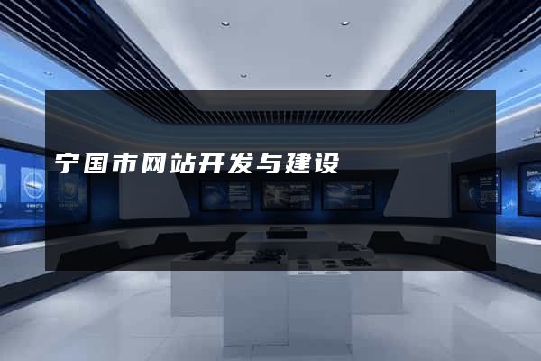 宁国市网站开发与建设
