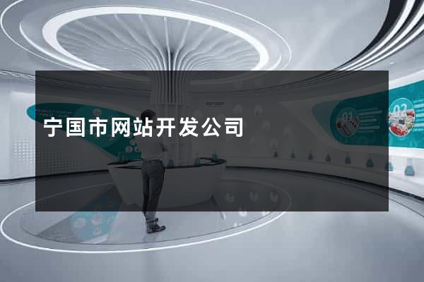 宁国市网站开发公司