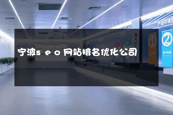 宁波seo网站排名优化公司
