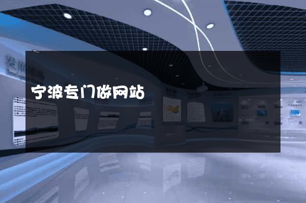 宁波专门做网站