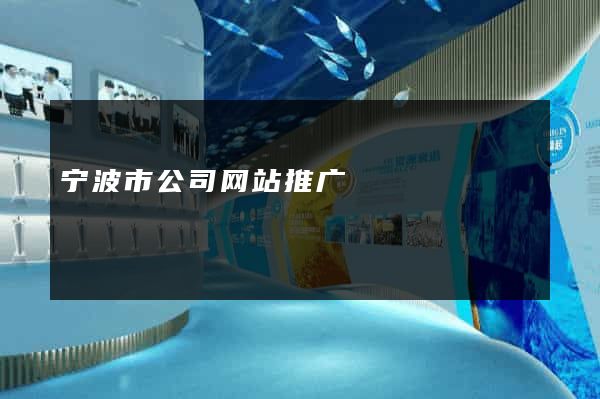 宁波市公司网站推广