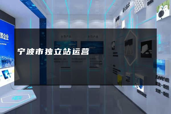 宁波市独立站运营