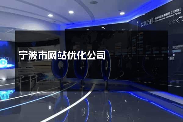 宁波市网站优化公司