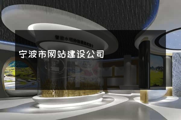 宁波市网站建设公司